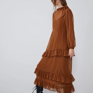 Zara Brown Polka Dot Midi Dress